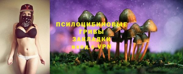эйфоретик Арсеньев