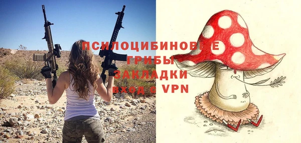 стафф Армянск