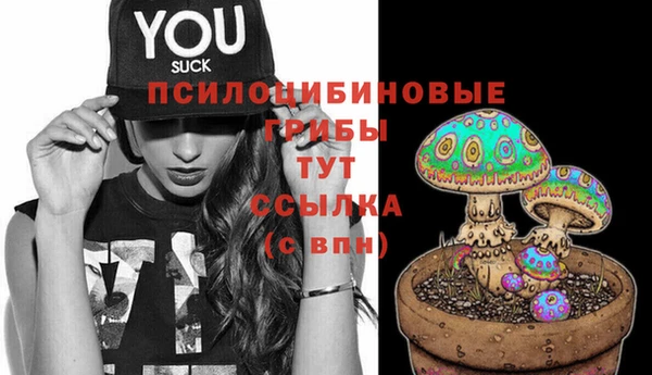 винт Осташков